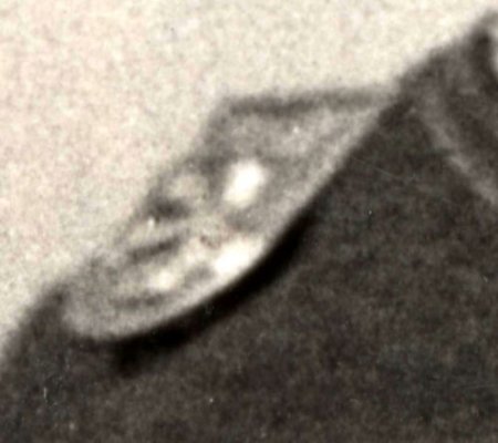 Greif-2.jpg