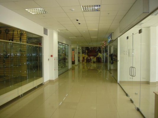 P1010256.JPG