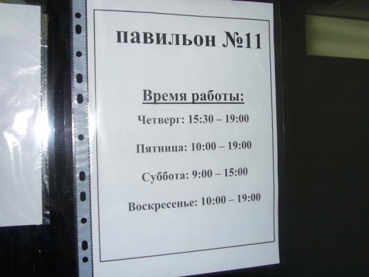 P1010286.JPG