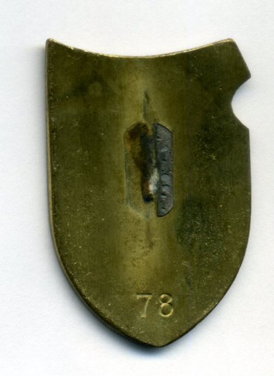 img343.jpg