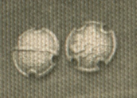 img419р.jpg