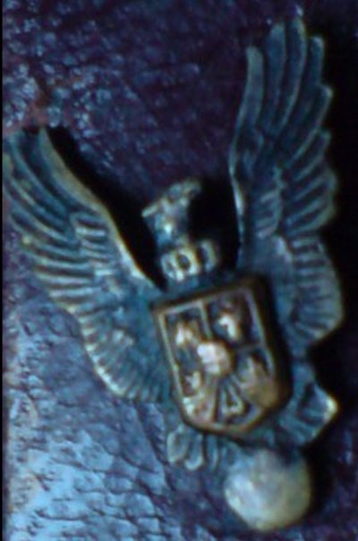 DRP10.jpg