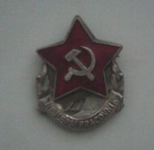 41213218.jpg