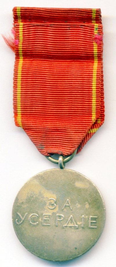 img385.jpg