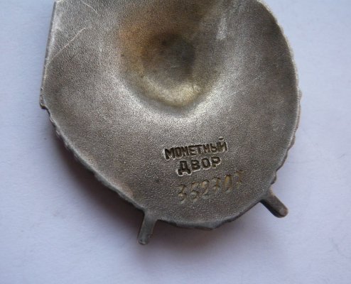 P1600015.JPG