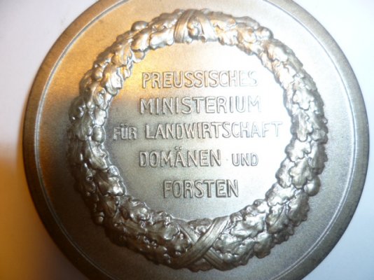 P1080942.JPG
