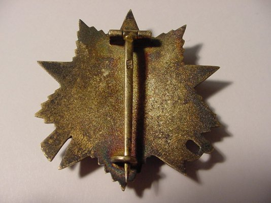 pw1pinbk5.JPG