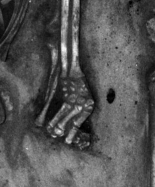 Pod88-5a.JPG