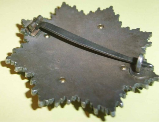 comp_DSCI0335.jpg
