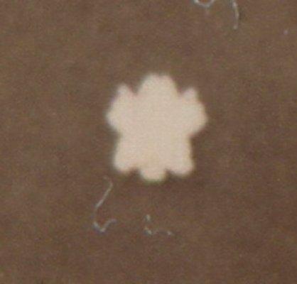 07.jpg
