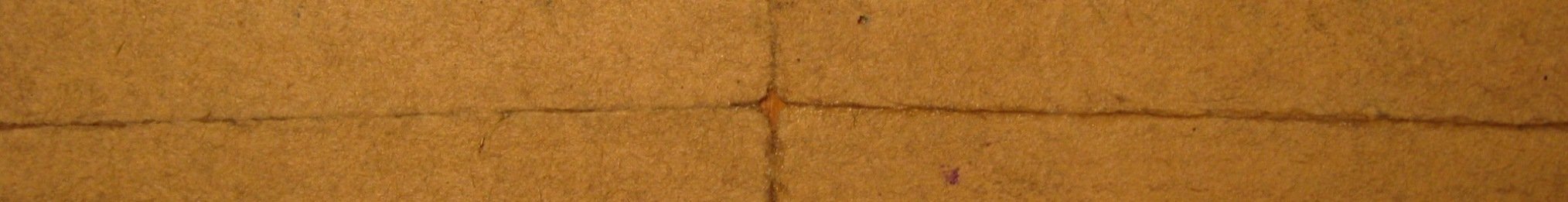 IMG_3150.jpg