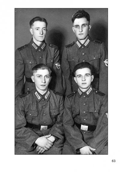 p63.jpg