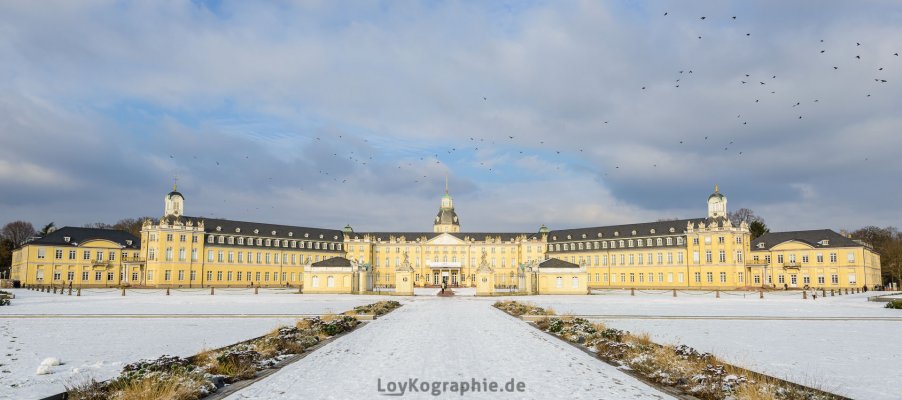 DSC_0799.jpg