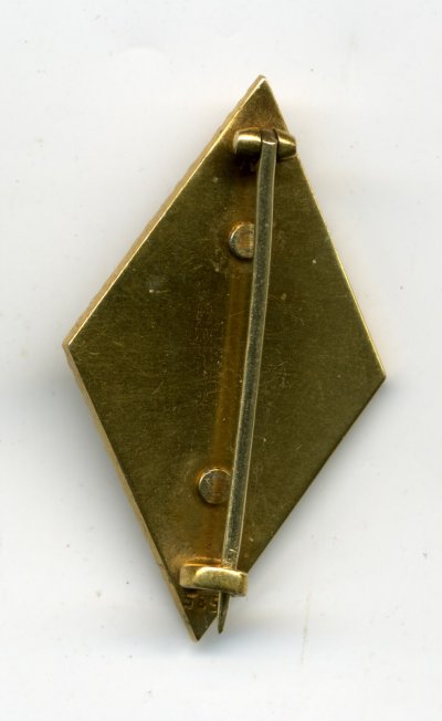 Golden HJ Honour Badge with Oak leaves in gold - reverse.jpg