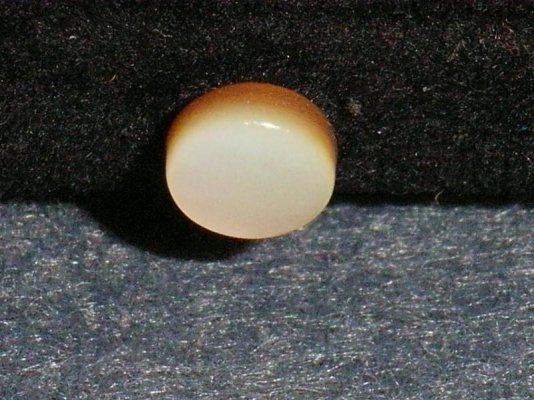 e4.jpg
