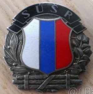 49584364.jpg