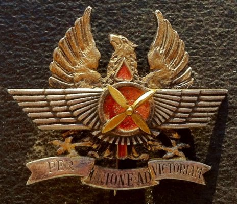 image (4).jpg