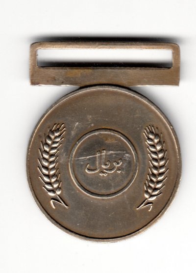 Medal for Achievement1.JPG