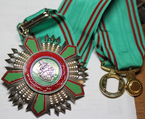 шейник.jpg