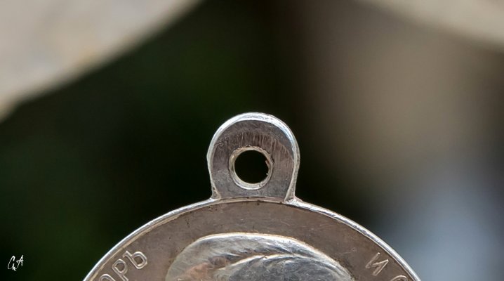 IMG_7960.jpg