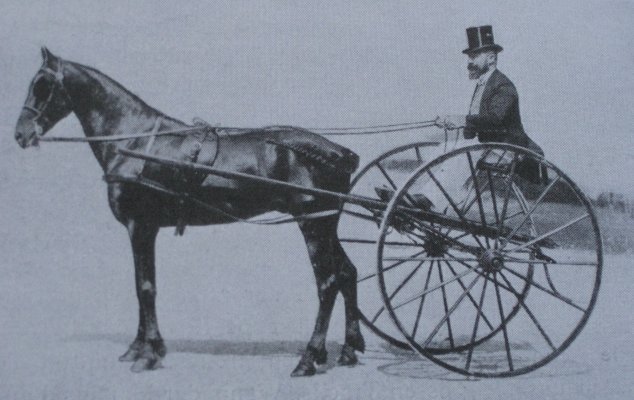 Sulky-1873.jpg