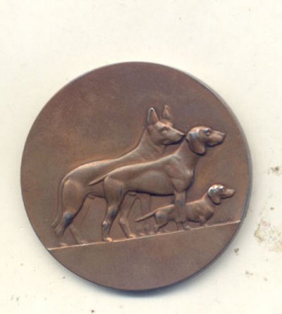 3297090.jpg