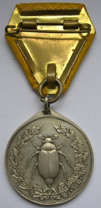 Жуки Рев.jpg