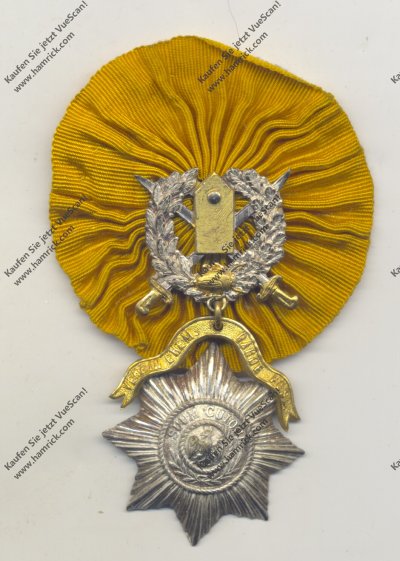 жуки.jpg