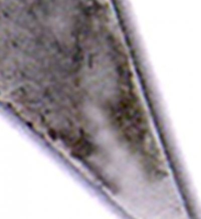 AR_1izd_b2.jpg