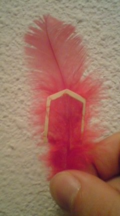 101013_2110011.jpg