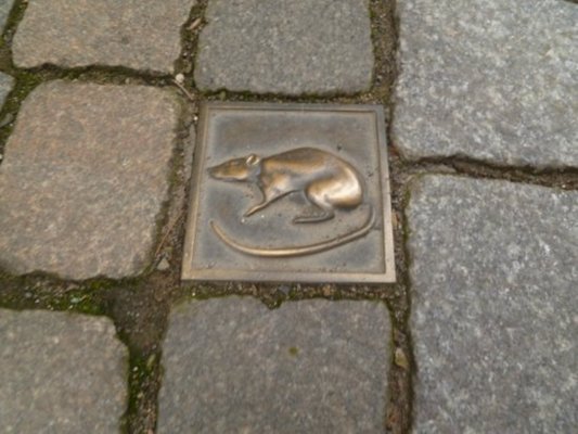 hameln-old-town.jpg