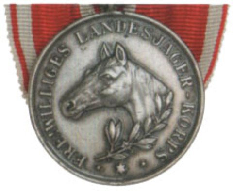 Medaille-fuer-gute-Pferdepflege--1920-.jpg