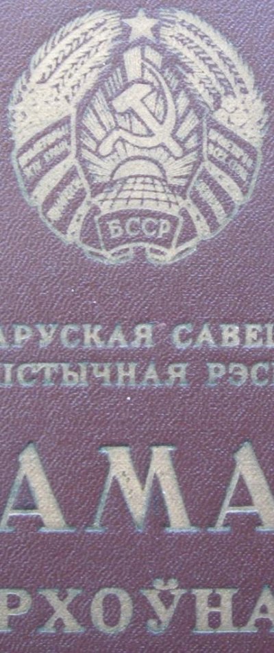 IMG_3485.jpg