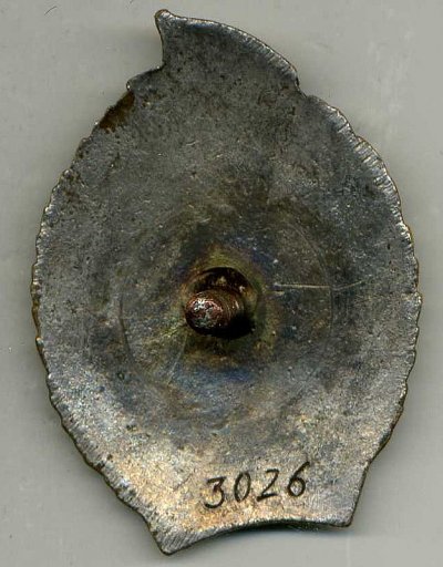 img154.jpg