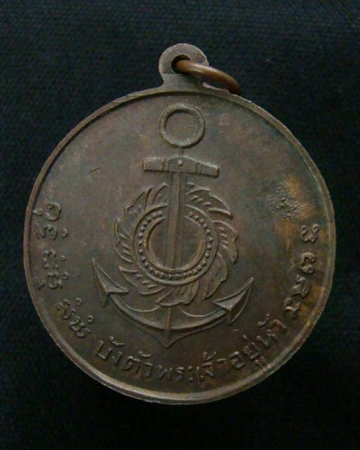 8176663.jpg