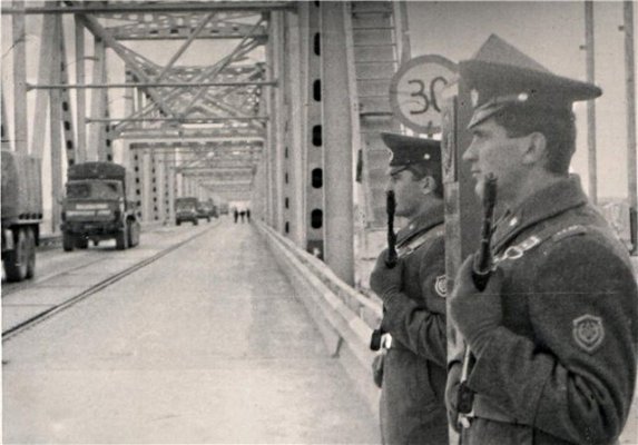 Пули Дусти.jpg