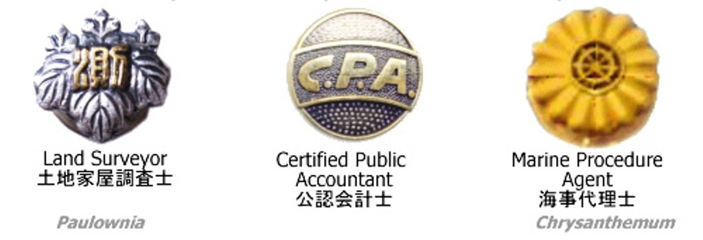 badge3.jpg