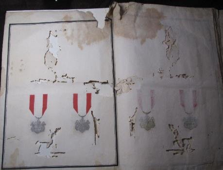 ww_017-459x350.jpg