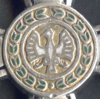 5vm03m.jpg