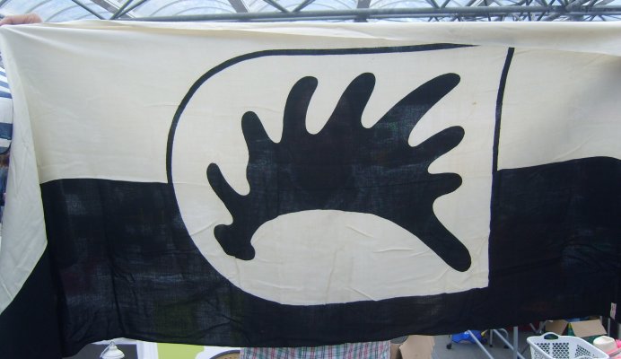DSCI4739.JPG