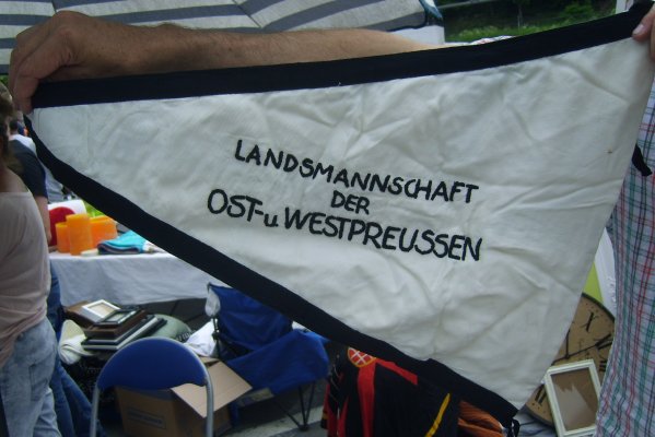 DSCI4741.JPG