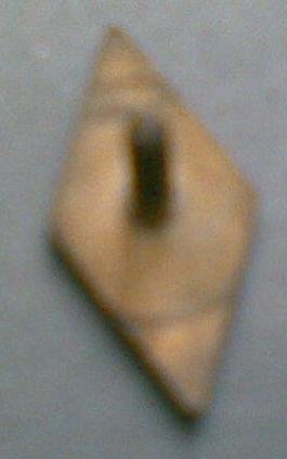 04012007(011).jpg