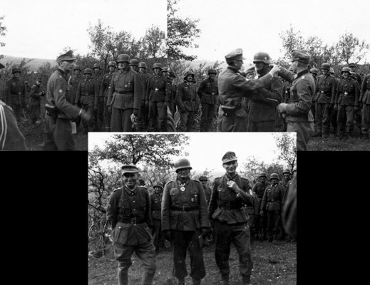 P001a.jpg