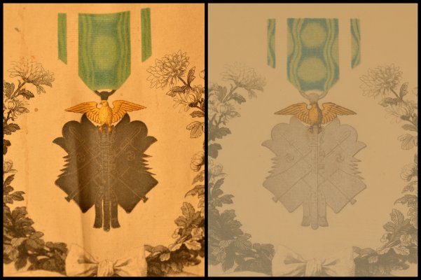 KIte7Collage.jpg
