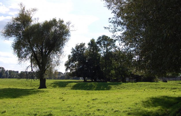 Blick_auf_das_Gelände_des_Wiesenwärter_Hauses.JPG