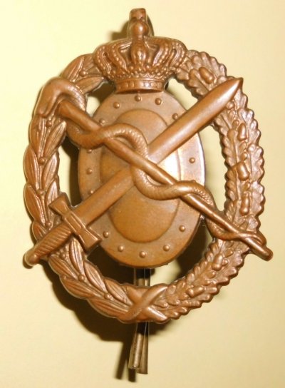DSCI5108.JPG