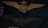 wings.jpg