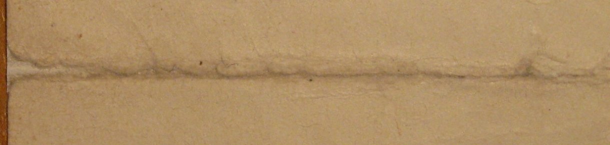 IMG_3641.jpg