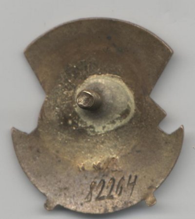 82264r.jpg
