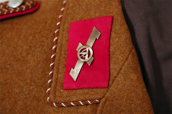 2237d.jpg